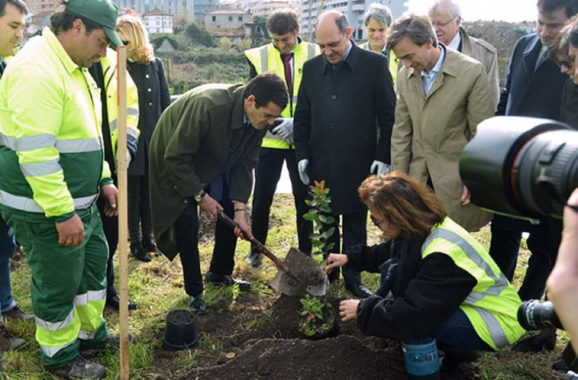 Plantaçao Rui Moreira